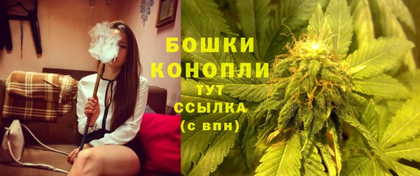 мяу мяу мука Елабуга