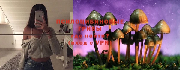 ПСИЛОЦИБИНОВЫЕ ГРИБЫ Нягань