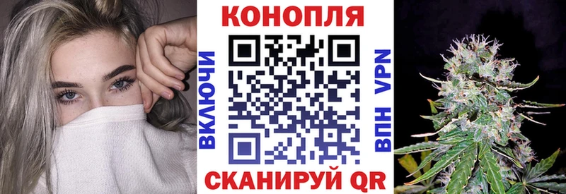 Марихуана White Widow  продажа наркотиков  Пролетарск 